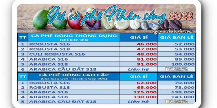 Giá cà phê nhân sống, hạt chưa rang update mới nhất
