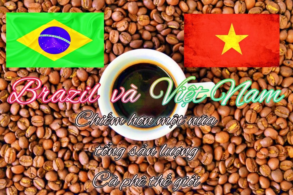 Brazil và Việt Nam chiếm hơn một nữa cà phê thế giới